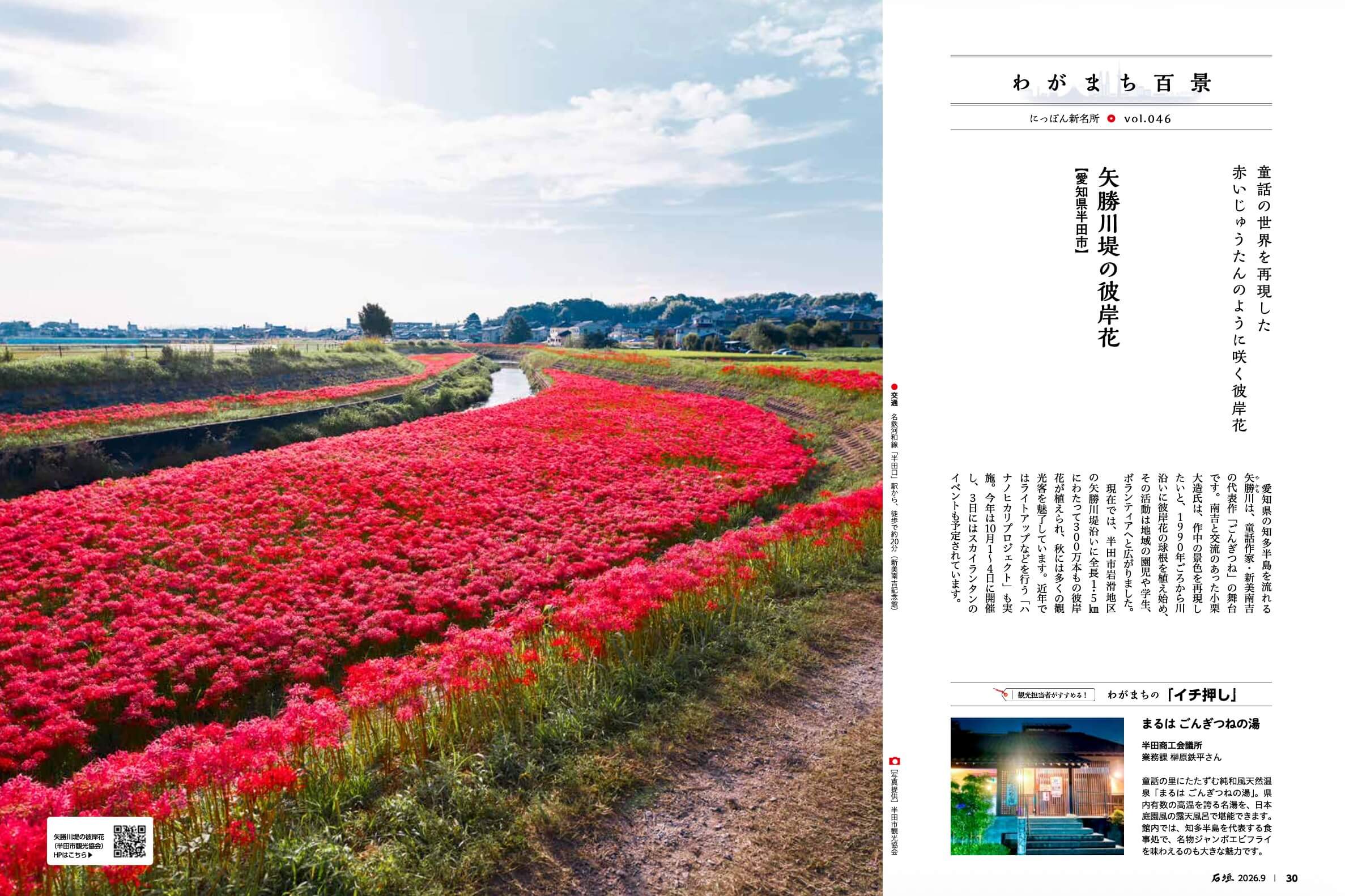矢勝川堤の彼岸花