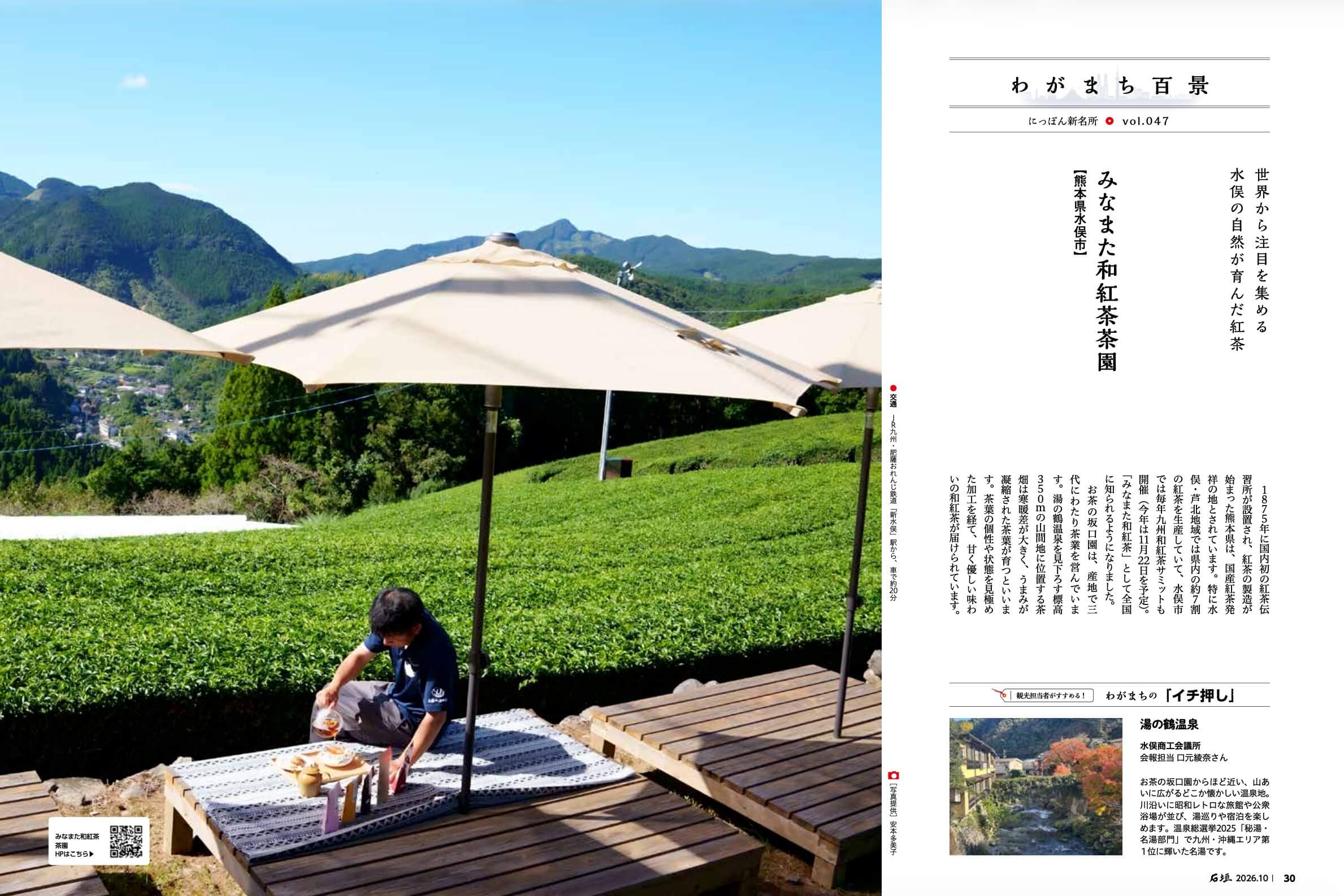みなまた和紅茶茶園