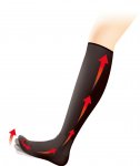 足先を上げやすくすることで、ふくらはぎの筋肉運動を活性化させ、血流（静脈還流）を促す「むくみ対策靴下」