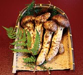 県内でも有数の松茸の産地である上田。年により異なるが、9月下旬から10月にかけて贅沢な香りを楽しめる