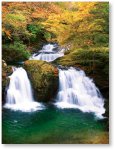 赤目四十八滝：室生赤目青山国定公園の中心に位置し、数々の瀑布が美しい観光地です