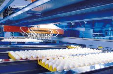 技術と実績を集約した全自動鶏卵選別包装システム。卵の選別と包装を分離でき、省スペースで処理能力を3割アップ。多品種少量生産に対応する