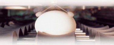 ひび卵検査装置「ACD」は、瞬時に16回触診・音響分析し、視認できない卵の微細なひびも発見する。検出率は95%をマークする