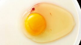 異常卵検査装置「ABD」シリーズは、卵を割ることなく分光分析技術で、血卵や無黄卵などの異常卵を検出。処理能力は最大24万卵で、卵の品質管理に貢献している