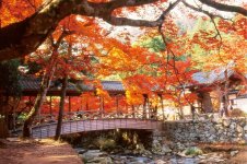 臨済宗佛通寺派の大本山であり、西日本屈指の禅道場としても知られる佛通寺