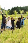 荘園遺跡内の水田で田植えや稲刈りを行う農業体験は、訪日外国人向け観光メニューの1つ