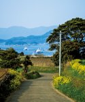 四季折々の風景を楽しめる五島市。どれも絵になる
©清瀧会頭