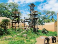 「チンパンジーの森」など森の中での野生の暮らしを再現
