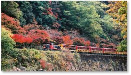 保津川沿いの自然や渓谷美を楽しむ「トロッコ列車」