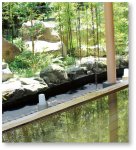 京の奥座敷｢湯の花温泉｣
