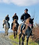 ホースガーデンMURANAKA／酪農地帯にあるホーストレッキング専門の乗馬クラブ