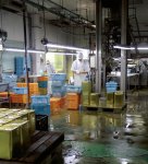 1963年に創業した上野食品は、当初から地元特産のタケノコを全国に出荷することを目的とし水煮工場を建設した