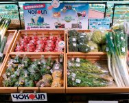 スーパーの「ヨコウンエコフードコーナー」で販売されている野菜