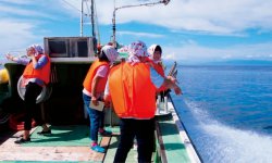「大間マグロ一本釣り漁見学ツアー」は、外国人観光客のニーズに対応した体験型観光コンテンツの一つ