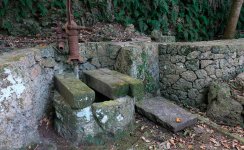 敷地内の裏庭にある古い井戸も水量は豊富