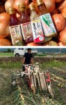 滋賀県の「るシオールファーム」との農商工連携で誕生した「玉ねぎドレッシング」は2015、16年と2年連続、「ねぎ塩ドレッシング」は16年にモンドセレクション金賞を受賞