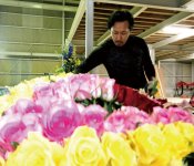 中核企業の華月では、冠婚葬祭の装飾に大量の生花を使う