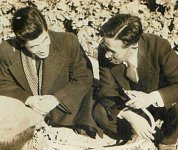 昭和30年、守口大根の種を取るための母本選抜の様子