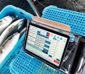 「自動計量システム」で、手作業が多く人手を必要としていた魚市場の業務をスマート化。漁獲情報や計量、入札の効率化を図る