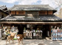 店舗は1942年の移転当初のまま。店舗とは別に専用の漬込蔵で奈良産を中心とした新鮮食材を伝統製法で漬け込む