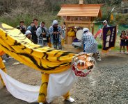 岩手県釜石市に伝わる伝統芸能「虎舞」。同社が染めた法被を着る男衆