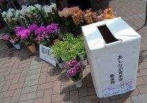 美しい花々が宝塚駅前に集まった