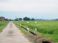 すべての水門にパディッチを設置した圃場。タイマー機能で開門が設定できるので、近隣農家との調整もしやすい