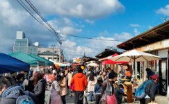 朝市に出店した人が、後に商店街に出店することも