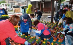 手際よく植え替えを行う女性会メンバーⓒ水木プロ