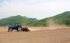 農業法人が手掛けるそば農園。遠軽町は標高差があるため寒暖差が大きく、そば栽培に適している