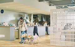 みんなの工場内にある「SHIRO CAFE 砂川本店」はペット同伴可。床材には端材とされた道産の木材を有効活用している