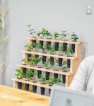 「戻り苗」を導入する企業も増加。オフィスで育苗しながら、森林保全に貢献