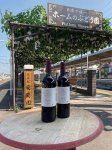 日本唯一の駅ホームのブドウ園