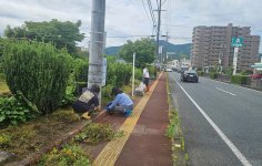 手際よく作業する女性部メンバー