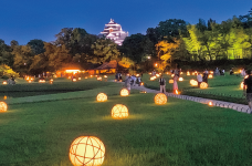温かい光で彩る「幻想庭園」