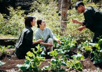 ホテル滞在中に、フィールド内で楽しめる収穫体験