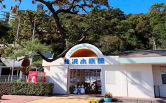 飼育員の推し活という、新たな水族館ファンを創出した桂浜水族館。2026年には95周年を迎える