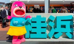 トドの女の子「おとどちゃん」。強烈な見た目とキャラクター設定で、多くの「ゆるキャラ」と一線を画す