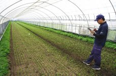 タブレット端末を使い、農場全体の状況を可視化・管理できるシステムを構築。経験の浅い従業員でも適切に農場を管理できる