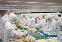 同社のパッキング工場。ロボットやシステムの導入により、重労働の排除とミス防止を徹底