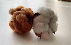 生成りの白と茶綿を組み合わせ、肌に優しい“染めないオーガニックコットンの自社製品”を継承