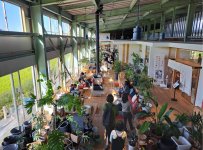 ハコニワ内部の共有スペースには新潟県産の杉材を使用。右側に店舗が並び、ガラス戸の向こうには田んぼが広がる