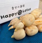 耕作放棄地をオーガニックレンコン畑に再生。グループ会社のHSSアグリが運営