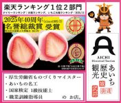 大手ECサイトで売り上げ１位を記録