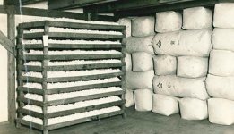 繭を乾燥・保管することで長期保存を可能にした