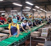 箱詰めなど保管商品の加工の一部を担い、付加価値を高めるサービスも行っている