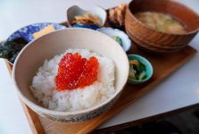 げそ天付きの定食「筋子めし」。筋子は県内トップクラスの鮮度で、げそ天と二分する人気