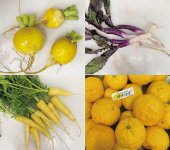 地元農家から仕入れた固定種野菜は新鮮そのもの