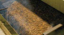 祖業の精穀も続けており、うどんや麦茶などを生産している