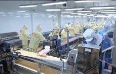 ベトナムの工場で稼働する同社の機械。設置後も微調整し、アフターケアを行う。高品質で壊れにくいと好評